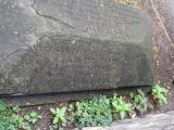 image of grave number 418130